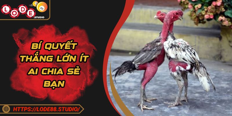 Bí quyết thắng lớn ít ai chia sẻ bạn