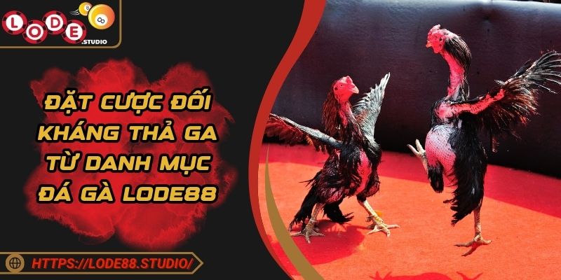 Đặt cược đối kháng thả ga từ danh mục đá gà Lode88