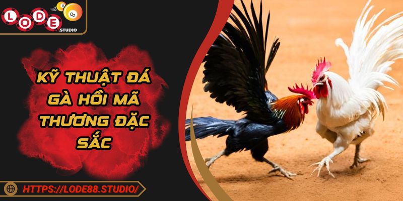 Kỹ thuật đá gà hồi mã thương đặc sắc