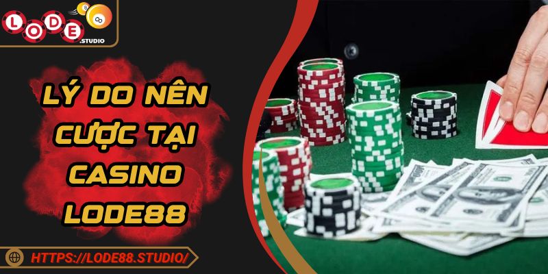 Lý do hội viên nên tham gia sảnh cược Casino Lode88