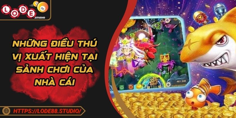 Những điều thú vị xuất hiện tại sảnh chơi của nhà cái