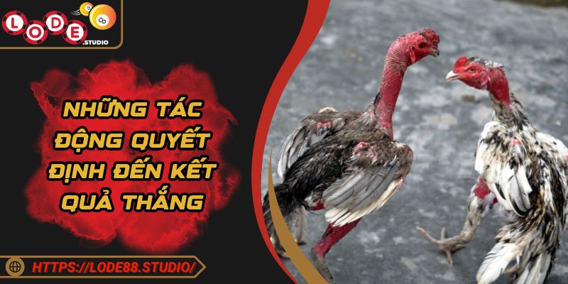 Những tác động quyết định đến kết quả thắng