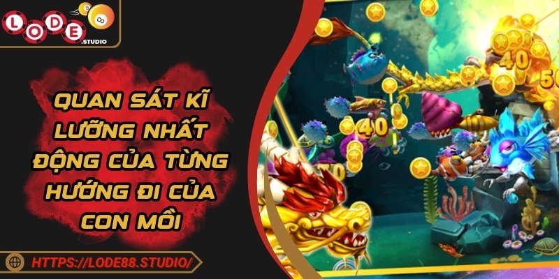 Quan sát kĩ lưỡng nhất động của từng hướng đi của con mồi