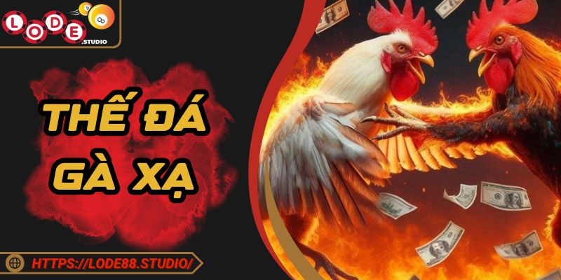 Thế Đá Gà Xạ Dễ Dàng Áp Dụng Giúp Thắng Lớn Tại Lode88