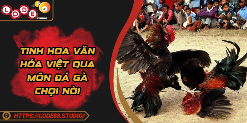 Tinh hoa văn hóa Việt qua môn đá gà chọi nòi