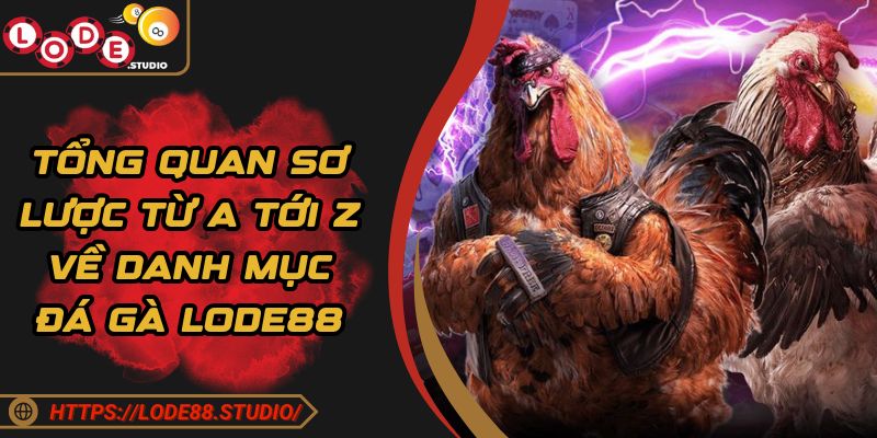 Tổng quan sơ lược từ a tới z về danh mục đá gà Lode88