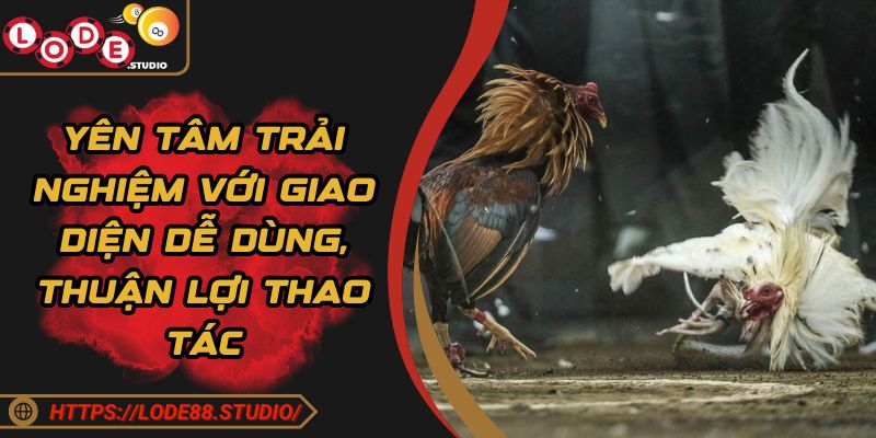 Yên tâm trải nghiệm với giao diện dễ dùng, thuận lợi thao tác